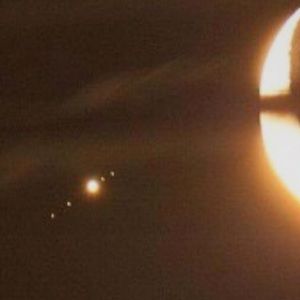 Meet your Posher, Theo